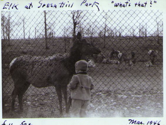 click to see larger image