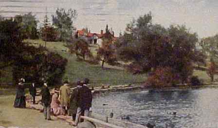 click to see larger image