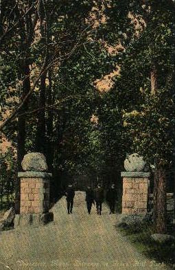 click to see larger image