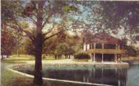 click to see larger image