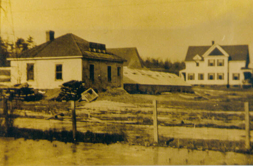 click to see larger image