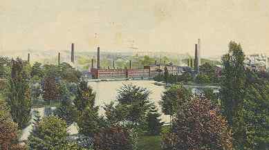 click to see larger image