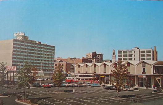 click to see larger image