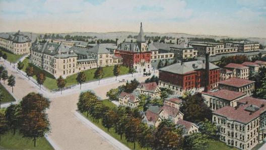 click to see larger image