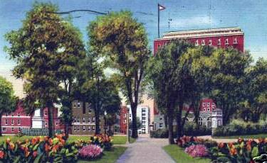 click to see larger image