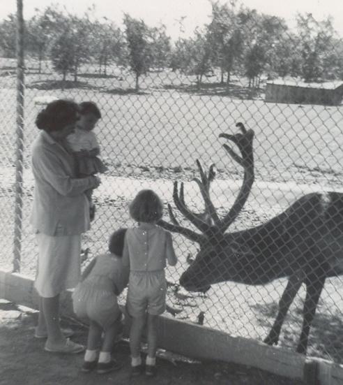 click to see larger image