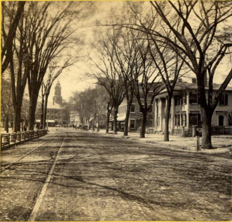 click to see larger image