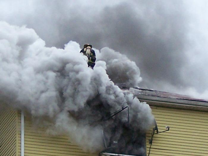 click to see larger image