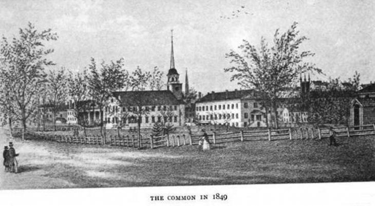 click to see larger image