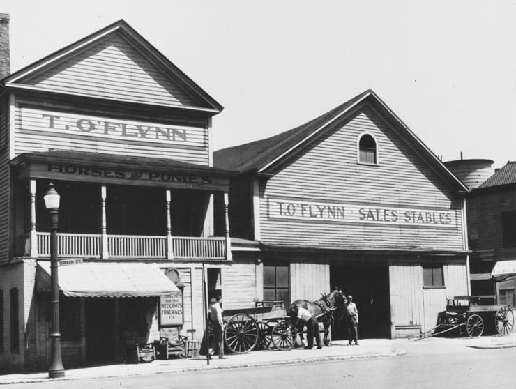 click to see larger image