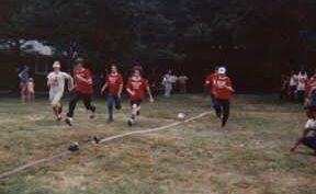 click to see larger image