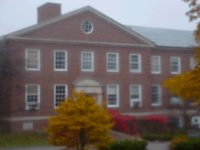 click to see larger image